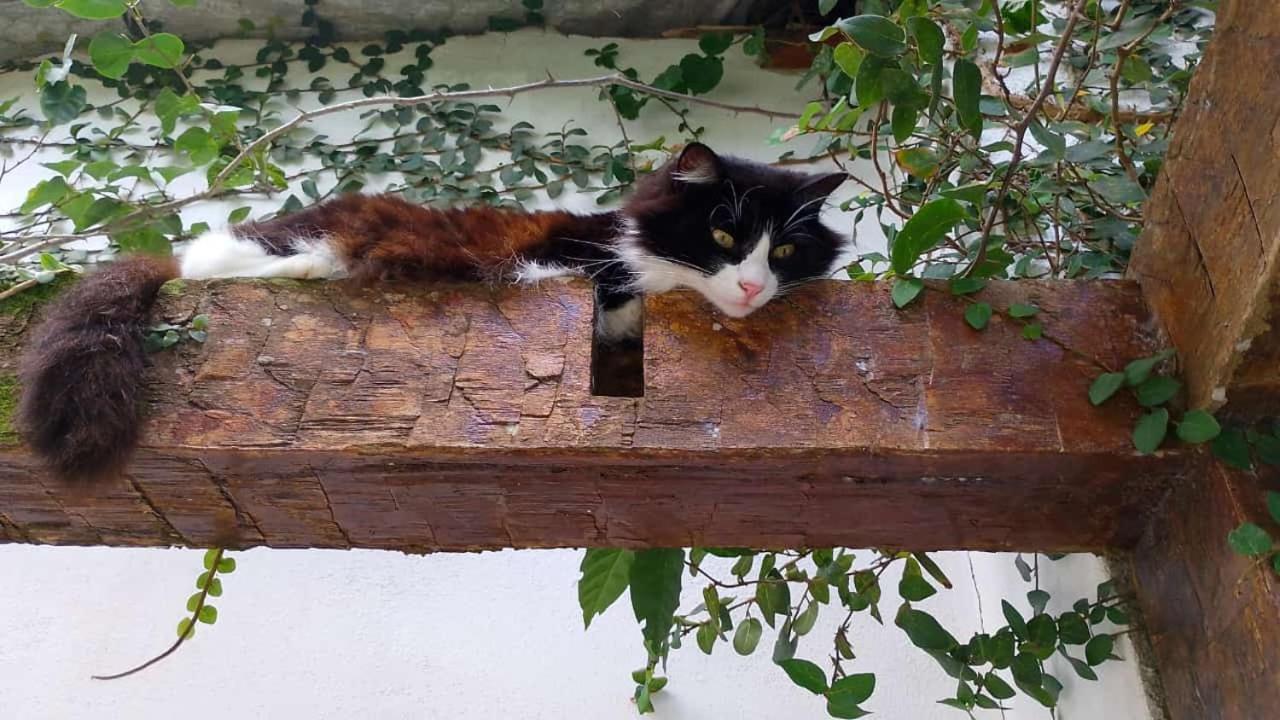 Pousada Buzios Summer Park Екстериор снимка
